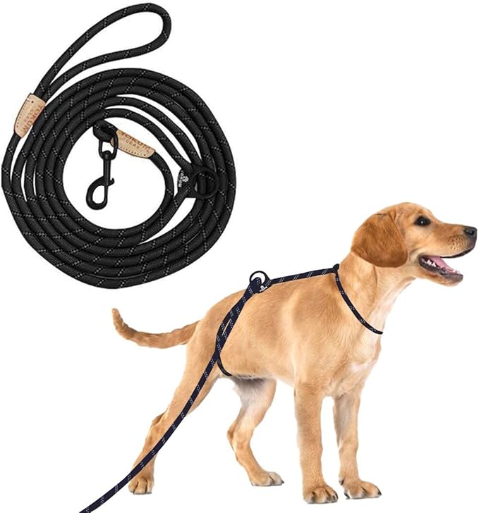 No pull leash training best sale